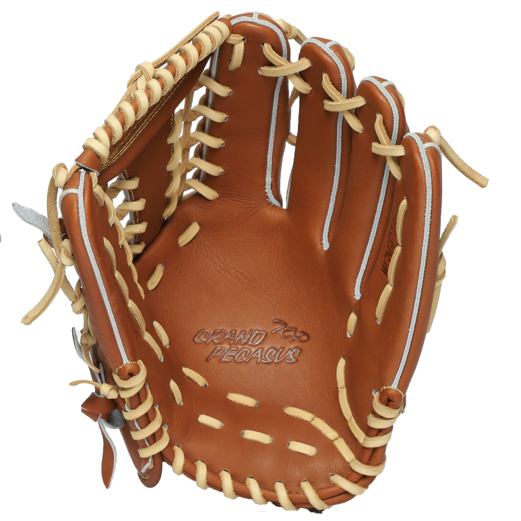 【ワールドペガサス】グランドペガサスTOP 外野手用 WGN6PT8の製品画像
